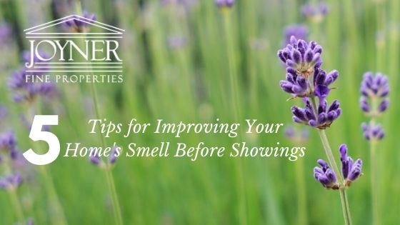 Improving Scent for Open House