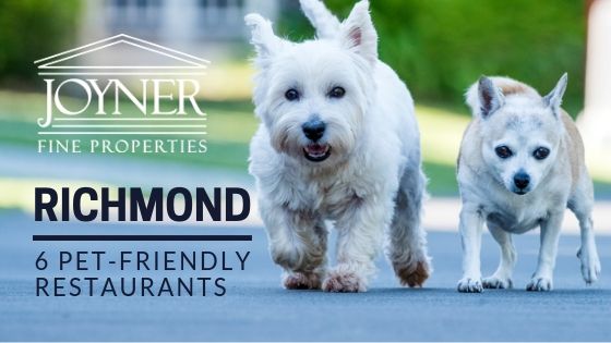 Pet Friendly Places in Richmond