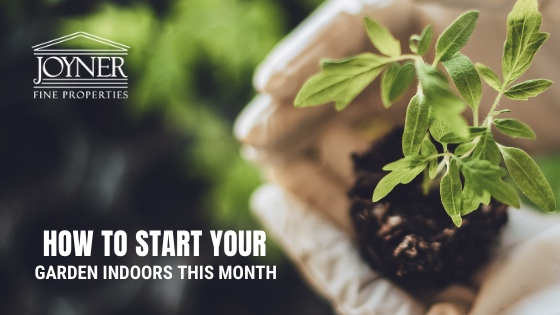 Richmond Indoor Garden