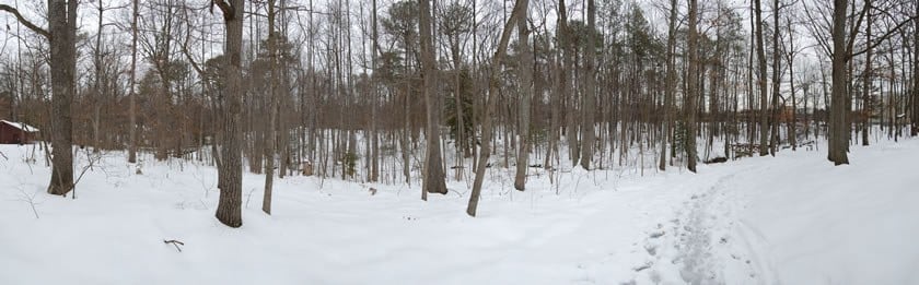 Cheswick Park, Henrico